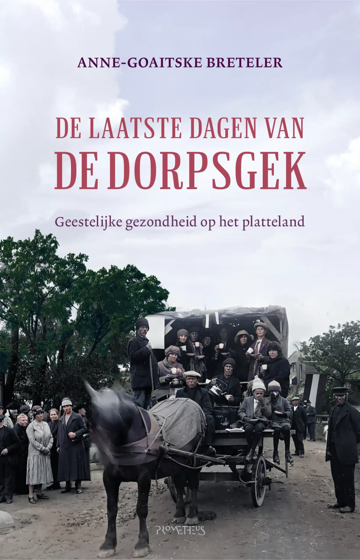 Boek – De laatste dagen van de dorpsgek